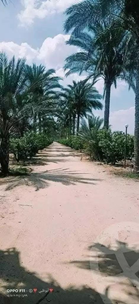 https://aqarmap.com.eg/ar/listing/6244241-for-sale-sharqia-zagazig-zagazig-city-tolba-awaida-st