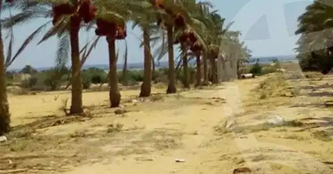 https://aqarmap.com.eg/en/listing/6256687-for-sale-el-fayoum-sinnuris-monshat-snours
