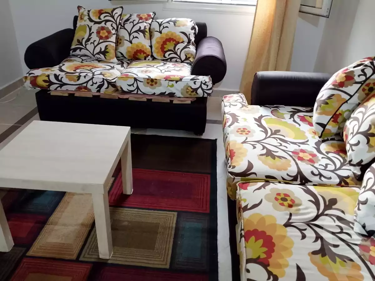 https://aqarmap.com.eg/en/listing/6263666-for-rent-cairo-new-cairo-third-settlement-sakan-masr