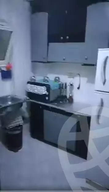 https://aqarmap.com.eg/ar/listing/6263961-for-sale-cairo-ain-shams-jsr-lswys-gamal-abd-el-naser-st