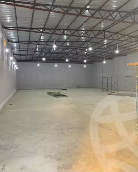 https://aqarmap.com.eg/en/listing/6265941-for-rent-luxor-luxor-city