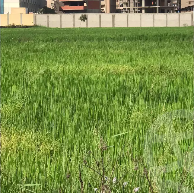 https://aqarmap.com.eg/ar/listing/6268603-for-sale-dakahlia-mansoura-el-mansoura-city