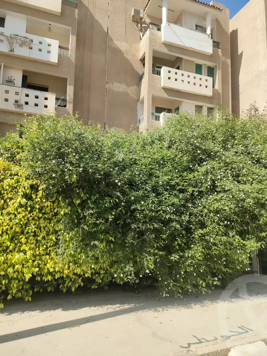 https://aqarmap.com.eg/en/listing/6278244-for-sale-cairo-new-cairo-el-ahyaa-first-neighborhood-street-2