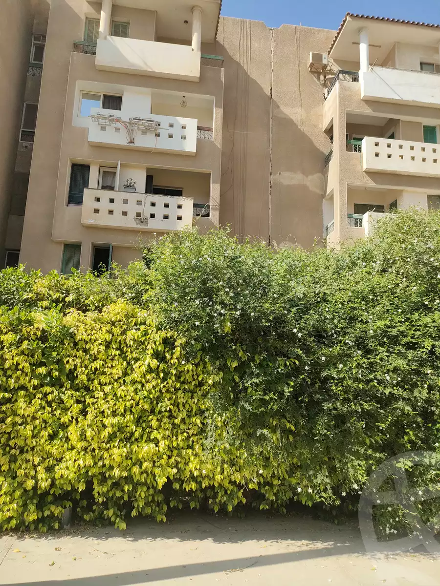 https://aqarmap.com.eg/en/listing/6278244-for-sale-cairo-new-cairo-el-ahyaa-first-neighborhood-street-2