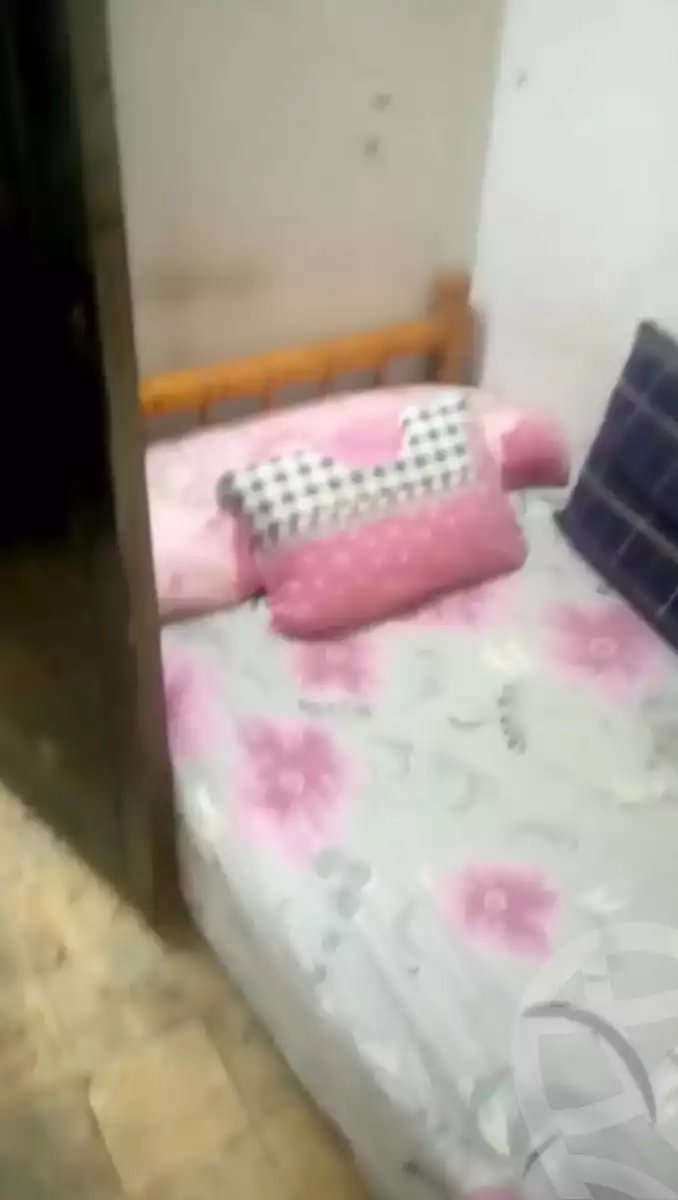 https://aqarmap.com.eg/en/listing/6279858-for-rent-cairo-shoubra-el-sahel-shobra-st