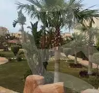 https://aqarmap.com.eg/ar/listing/6280420-for-sale-cairo-el-sheikh-zayed-city-compounds-zayed-2000