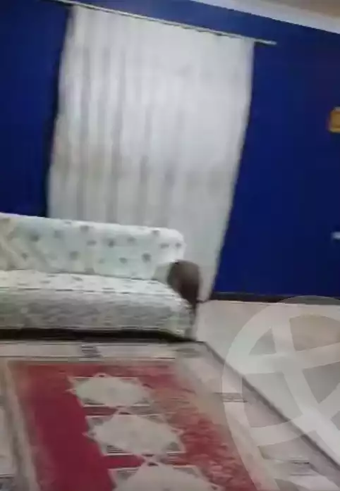 https://aqarmap.com.eg/en/listing/6280922-for-rent-gharbia-tanta-tanta-city-kafr-essam-st