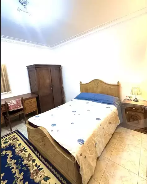 https://aqarmap.com.eg/ar/listing/6284973-for-rent-cairo-manial