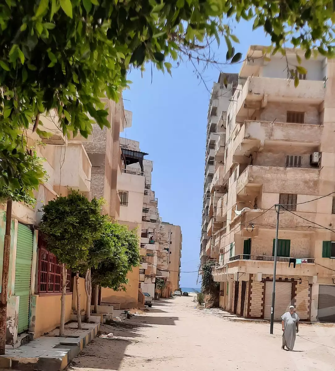 https://aqarmap.com.eg/en/listing/6285518-for-sale-alexandria-l-jmy-lbytsh-el-hanafeya-st