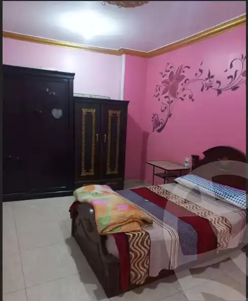 https://aqarmap.com.eg/ar/listing/6296112-for-rent-dakahlia-mansoura-el-mansoura-city-ahmed-maher-st