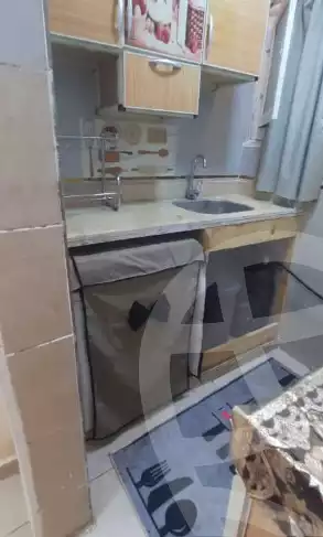 https://aqarmap.com.eg/ar/listing/6305440-for-rent-cairo-manial