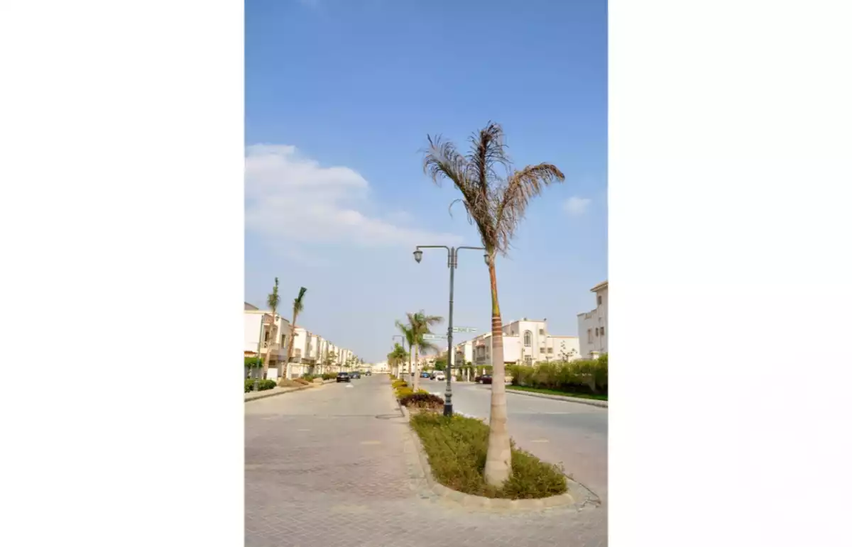 https://aqarmap.com.eg/en/listing/6306524-for-sale-cairo-el-sheikh-zayed-city-lshykh-zyd-ljdyd-zayed-greens-2-compound-location-development