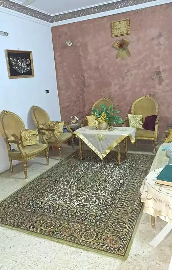 https://aqarmap.com.eg/en/listing/6308180-for-sale-cairo-faisal