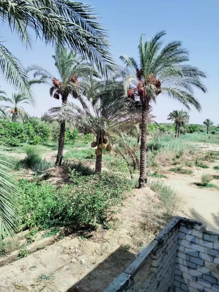 https://aqarmap.com.eg/en/listing/6308192-for-sale-suez-el-ganain
