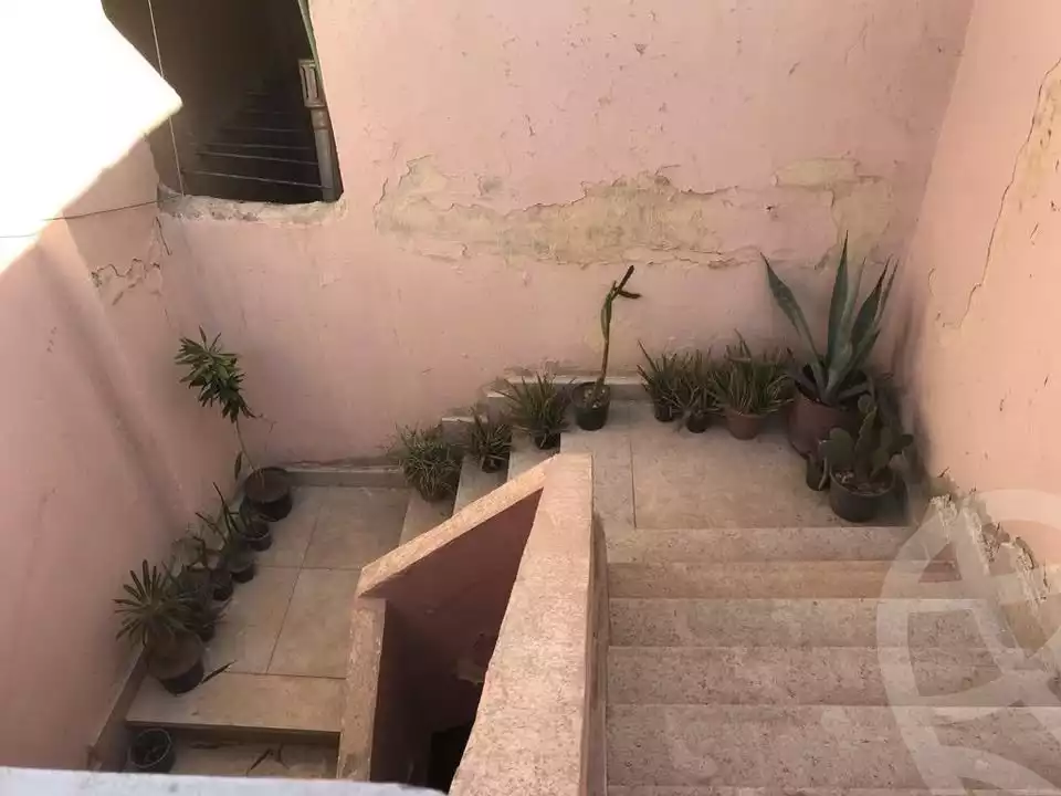 https://aqarmap.com.eg/ar/listing/6309621-for-rent-cairo-el-haram-shareaa-el-talateny