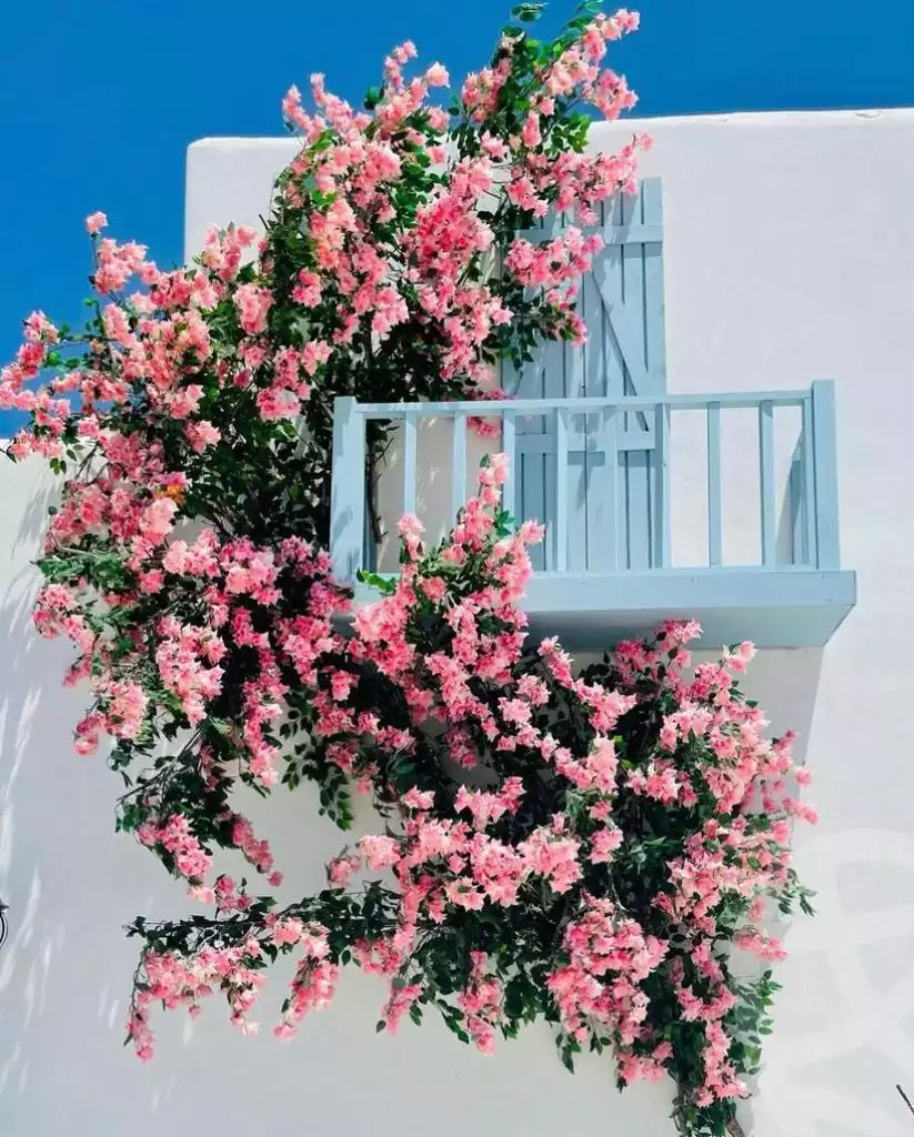 https://aqarmap.com.eg/ar/listing/6309951-for-sale-north-coast-resorts-lvls-resort-mountain-view