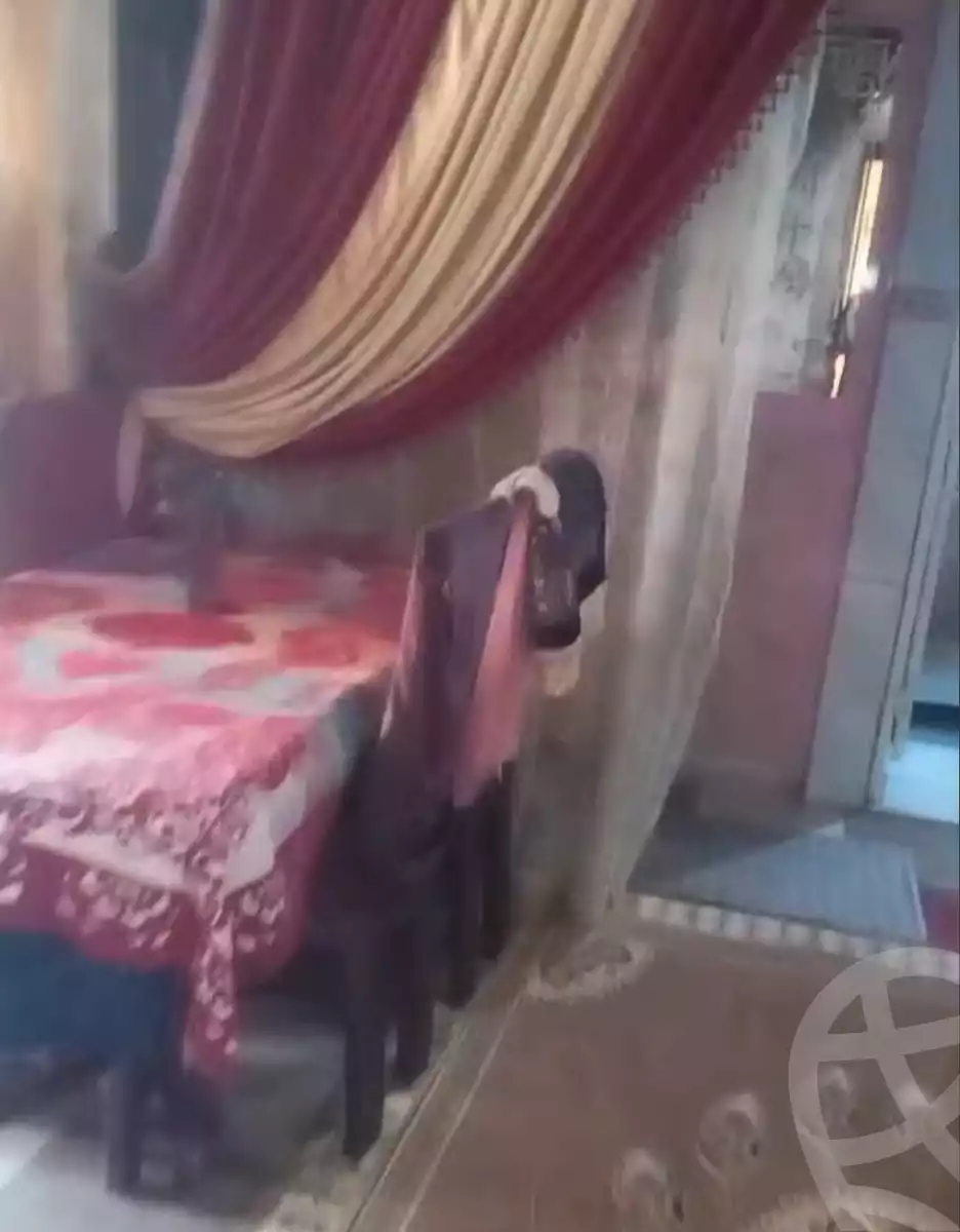 https://aqarmap.com.eg/ar/listing/6312600-for-sale-alexandria-l-jmy-lbytsh