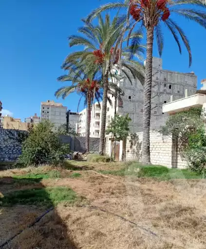 https://aqarmap.com.eg/en/listing/6319063-for-sale-alexandria-l-jmy-el-hanouvel