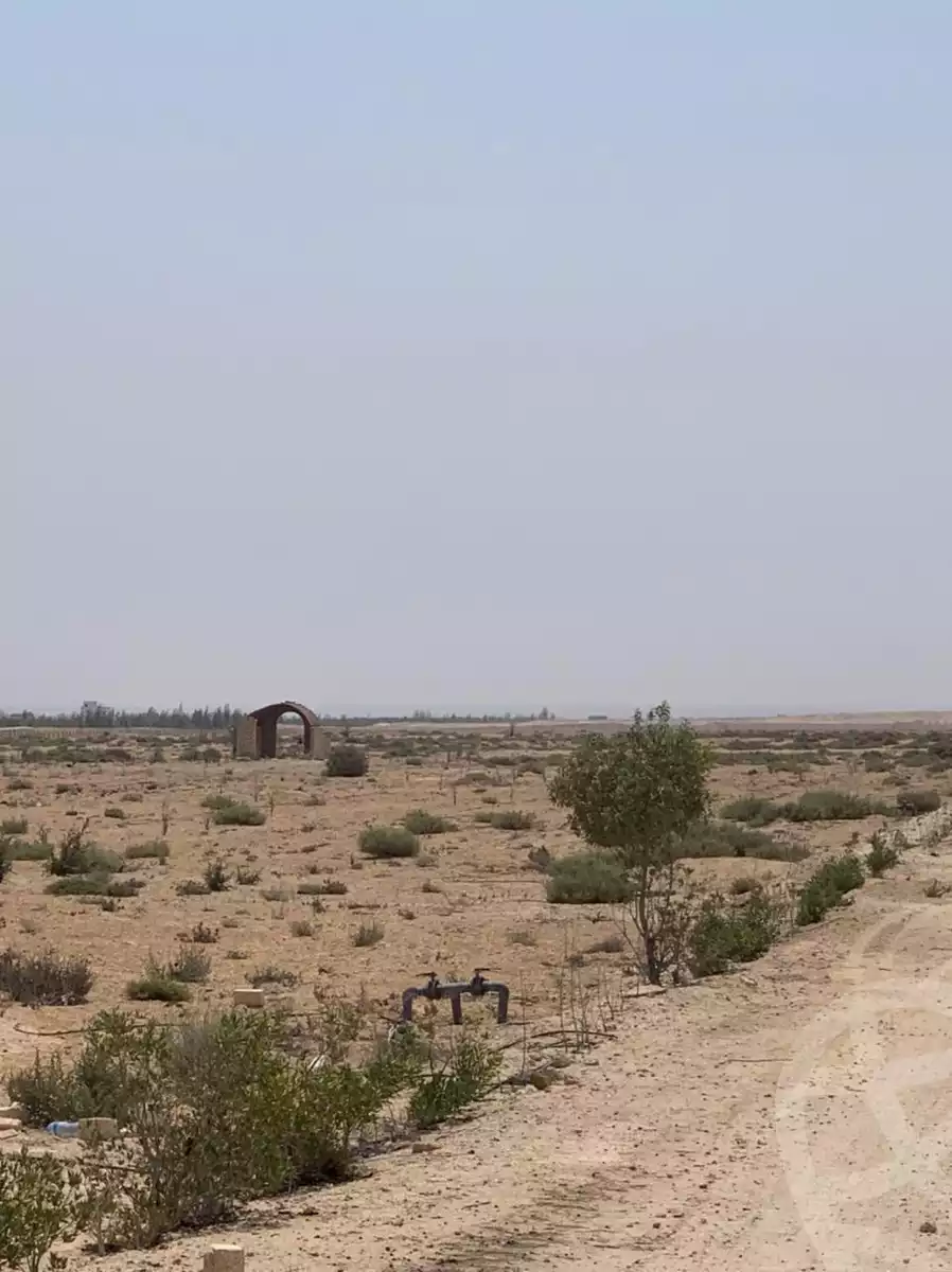 https://aqarmap.com.eg/ar/listing/6319798-for-sale-beheira-wadi-el-natrun-bany-salama