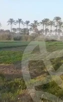 https://aqarmap.com.eg/en/listing/6322909-for-sale-alexandria-el-amreya