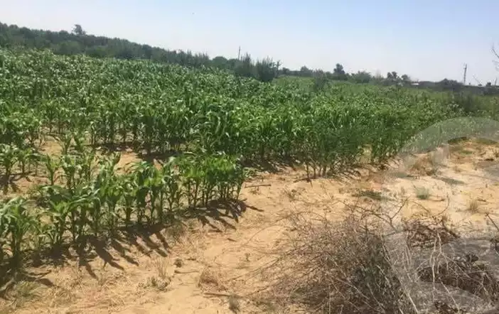 https://aqarmap.com.eg/ar/listing/6323925-for-sale-beheira-wadi-el-natrun