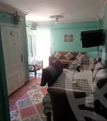 https://aqarmap.com.eg/ar/listing/6324259-for-sale-alexandria-miami-45-street