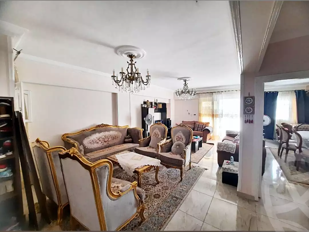 https://aqarmap.com.eg/ar/listing/6339840-for-rent-alexandria-miami-45-street