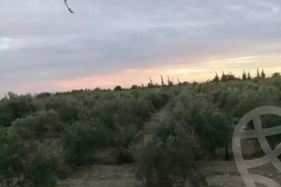 https://aqarmap.com.eg/ar/listing/6343519-for-sale-suez-el-ganain-shandoura-village