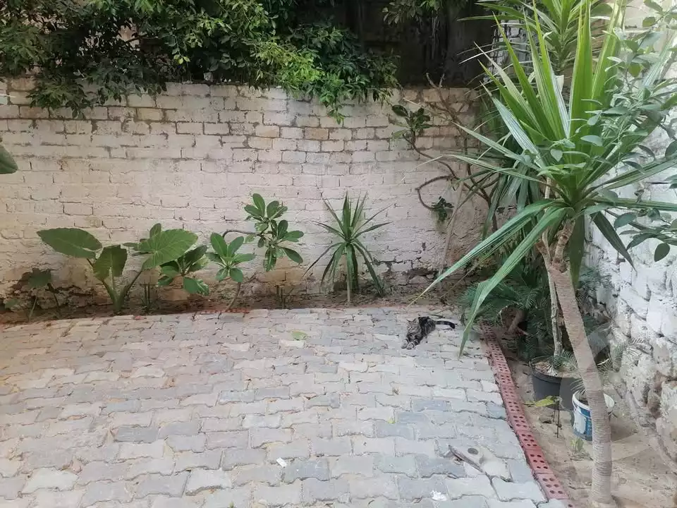 https://aqarmap.com.eg/en/listing/6348638-for-sale-alexandria-l-jmy-lbytsh
