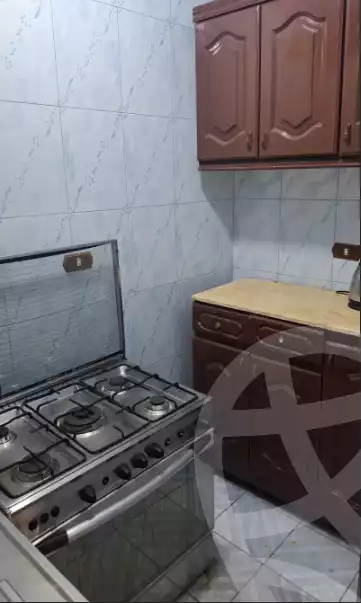 https://aqarmap.com.eg/en/listing/6351380-for-rent-dakahlia-mansoura-hy-ljm