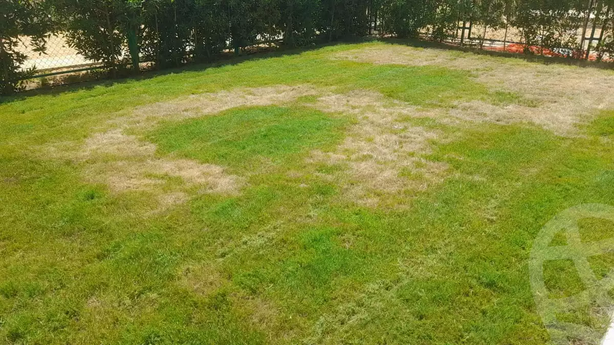 https://aqarmap.com.eg/en/listing/6351480-for-rent-cairo-new-cairo-compounds-the-address-east