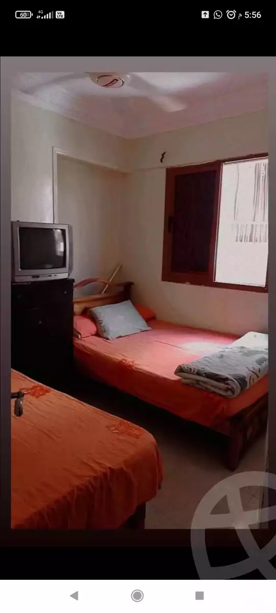 https://aqarmap.com.eg/en/listing/6351890-for-rent-alexandria-l-jmy-lbytsh-bianchiii
