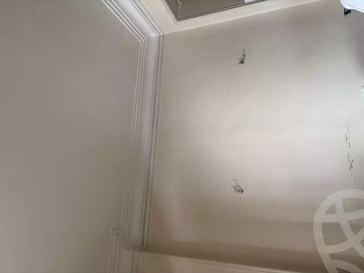 https://aqarmap.com.eg/en/listing/6353018-for-sale-gharbia-tanta-tanta-city-saeed-st