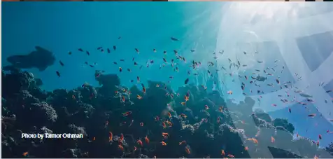 https://aqarmap.com.eg/en/listing/6354161-for-sale-red-sea-hurghada-resorts-wadi-soma-resort-soma-bay