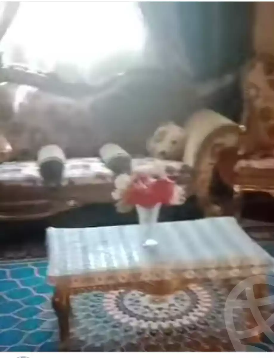 https://aqarmap.com.eg/ar/listing/6357472-for-sale-cairo-ain-shams-ain-shams-el-sharkia-shr-brhym-bd-lrzq