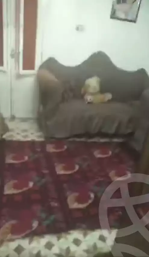 https://aqarmap.com.eg/ar/listing/6357786-for-sale-qalyubia-shubra-el-khaima-byjm