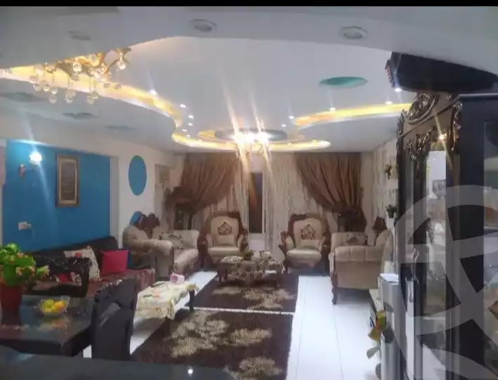 https://aqarmap.com.eg/en/listing/6358394-for-rent-cairo-dokki-shareaa-el-doqi