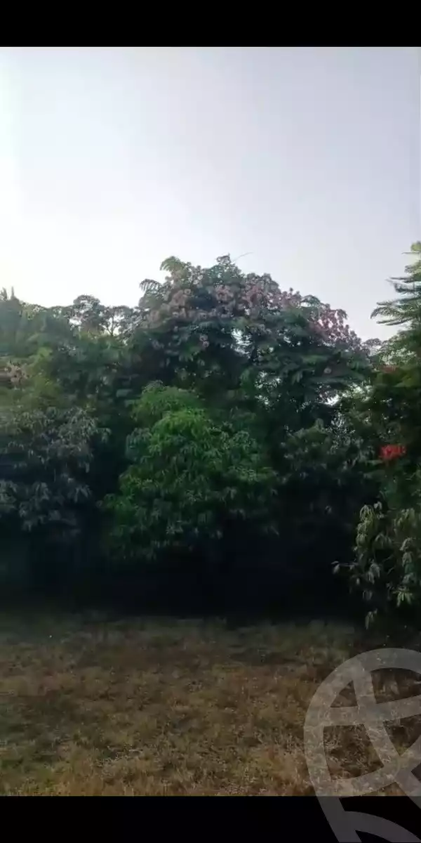 https://aqarmap.com.eg/ar/listing/6359215-for-sale-cairo-el-mansuriyyah-el-saliba