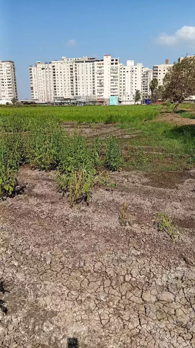 https://aqarmap.com.eg/en/listing/6359746-for-sale-gharbia-tanta-qaret-shubar