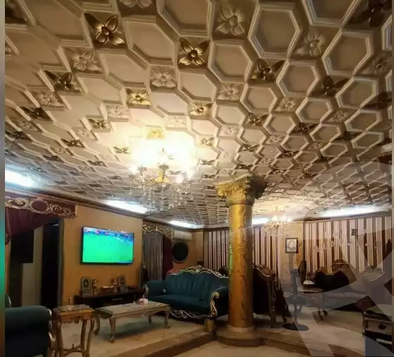 https://aqarmap.com.eg/ar/listing/6360975-for-sale-dakahlia-mansoura-el-mansoura-city-el-gomhouria-st