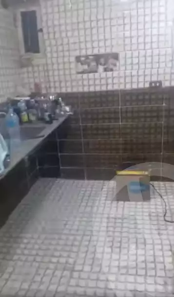 https://aqarmap.com.eg/en/listing/6361531-for-rent-cairo-ain-shams-ahmed-esmat-st