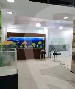 https://aqarmap.com.eg/en/listing/6363152-for-rent-cairo-mokattam