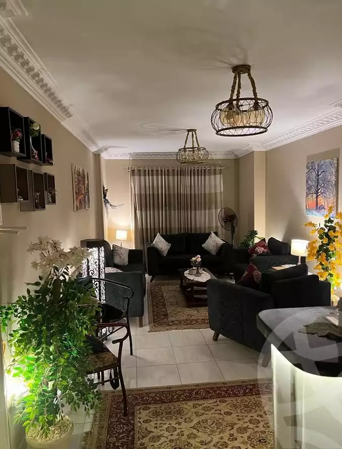 https://aqarmap.com.eg/en/listing/6368016-for-rent-cairo-faisal-tareeq-kaabesh