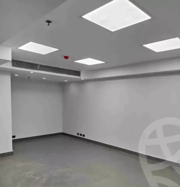 https://aqarmap.com.eg/en/listing/6370688-for-rent-cairo-dokki-el-batal-ahmed-abd-el-aziz