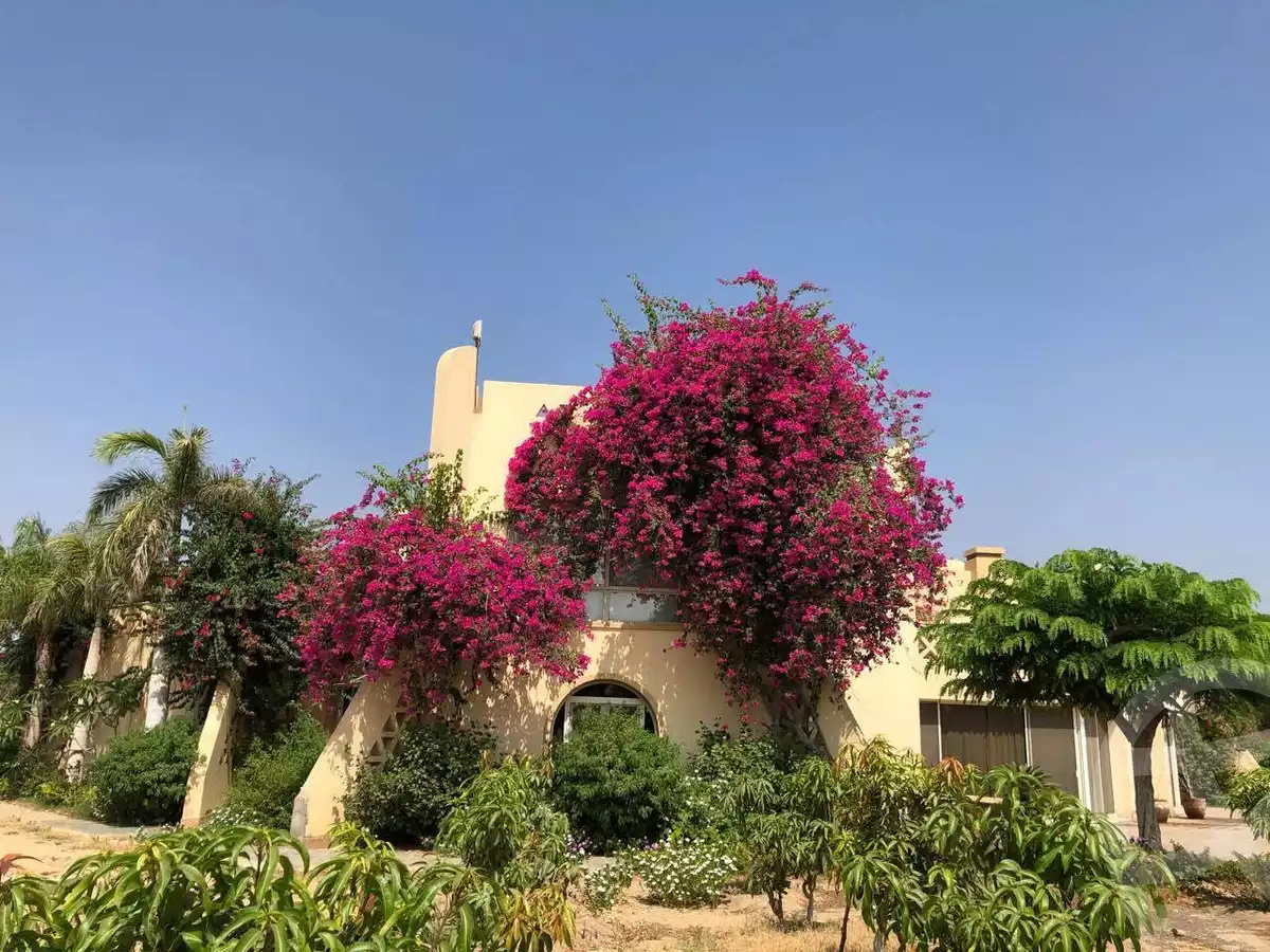 https://aqarmap.com.eg/ar/listing/5993448-for-sale-cairo-el-shorouk-lmntq-lkhms-neighbourhood-1