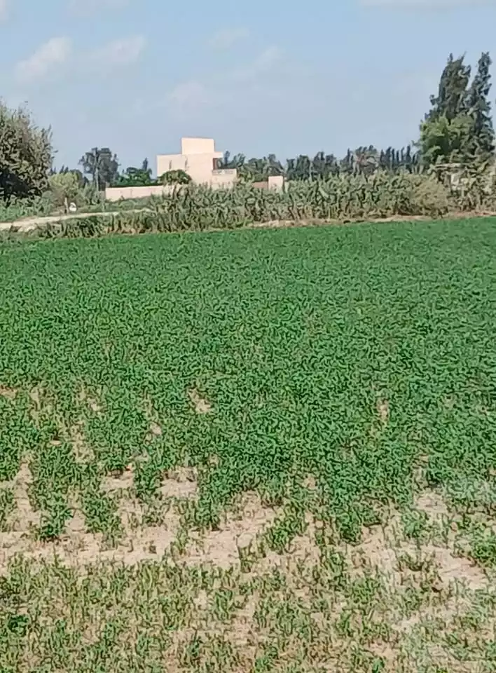 https://aqarmap.com.eg/ar/listing/6368077-for-sale-alexandria-borg-el-arab