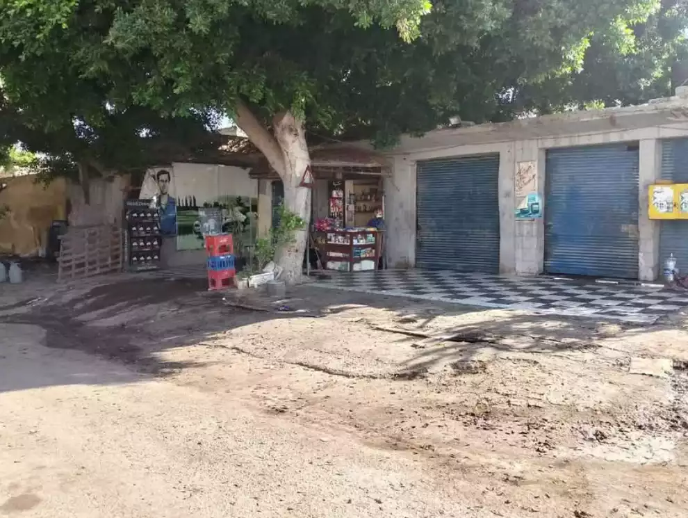 https://aqarmap.com.eg/en/listing/6375954-for-sale-alexandria-el-amreya