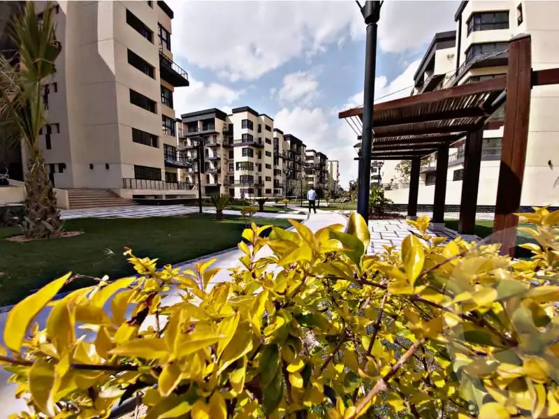 https://aqarmap.com.eg/ar/listing/6376395-for-rent-cairo-new-cairo-madinaty-eighth-zone-buildings-madinaty-b-8