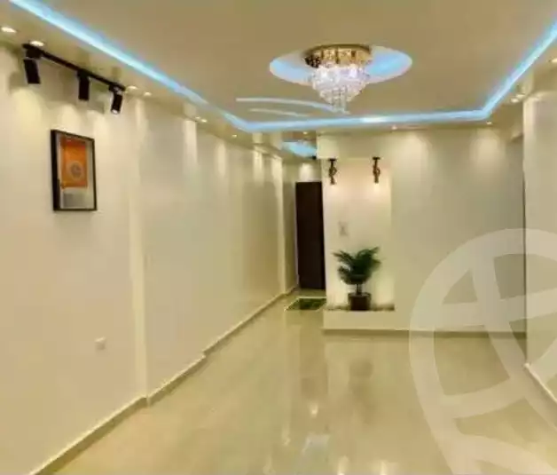 https://aqarmap.com.eg/en/listing/6378575-for-rent-cairo-faisal