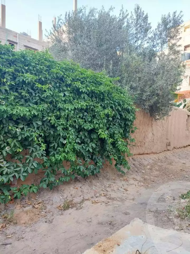 https://aqarmap.com.eg/en/listing/6384103-for-sale-north-sinai-arish-el-arish-city